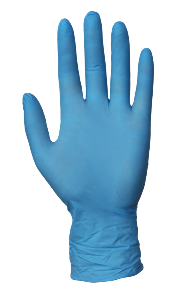 Discount exam gloves 2025