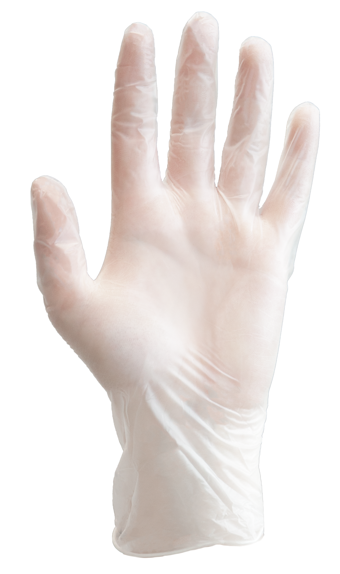 Clear™ Vinyl Exam Gloves